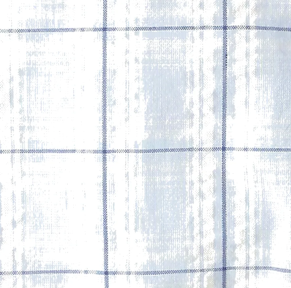 64.webp